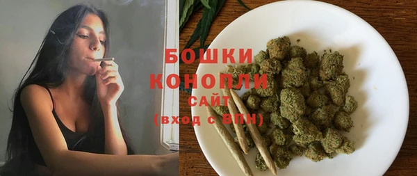 гашик Инсар