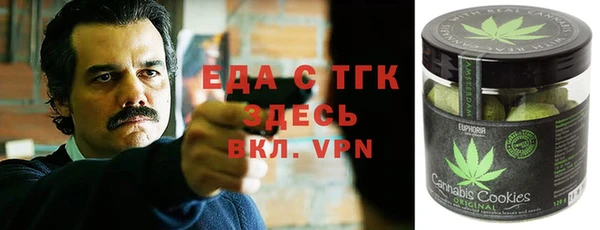 гашик Инсар