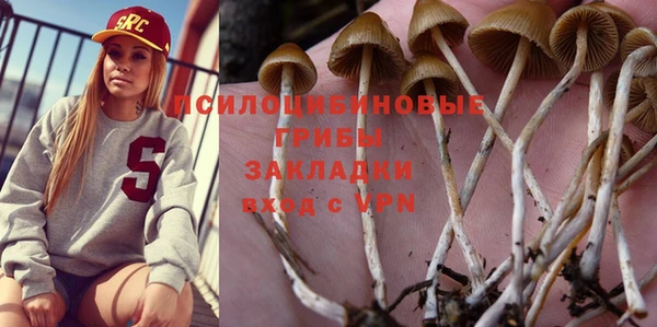 хмурый Зеленокумск