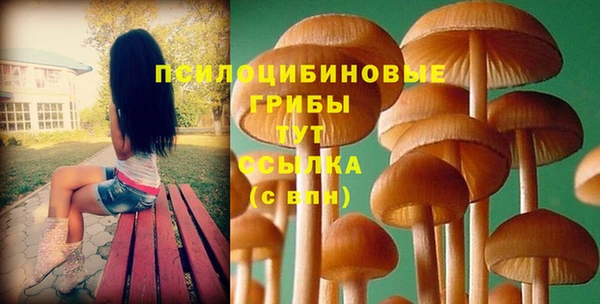 гашик Инсар